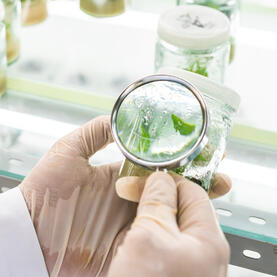 通过认证,我们能够满足所有市场要求和安全标准。