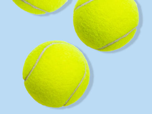 功能化生物基纤维