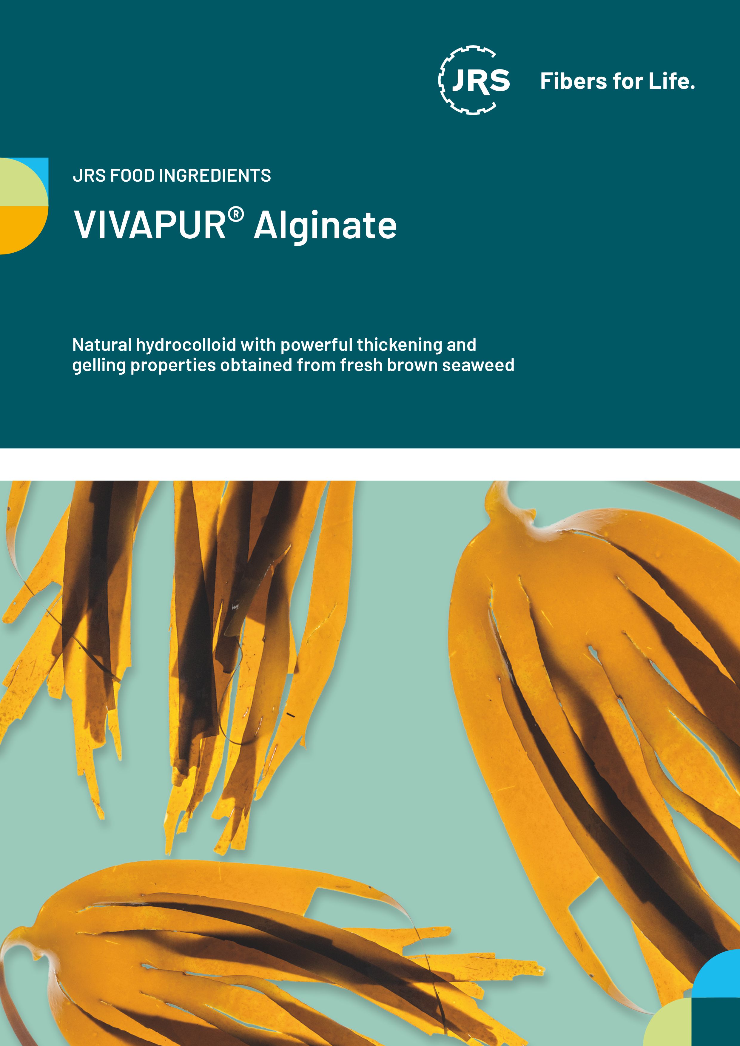 VIVAPUR® Alginat Füllungen für Backwaren