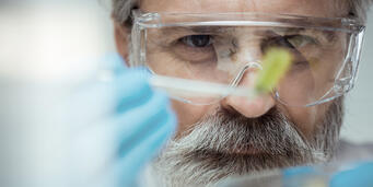 JRS 植物纤维技术。