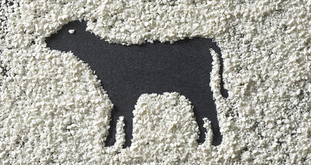 VITACEL® 的应用和剂量建议