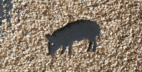 VITACEL® 的应用和剂量建议