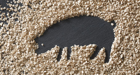 VITACEL® 的应用和剂量建议