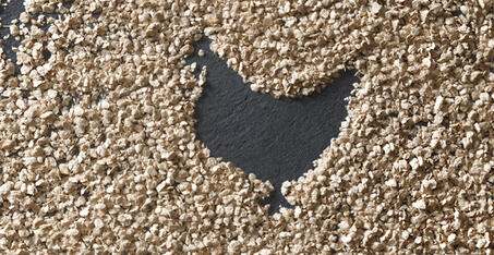 VITACEL® 的应用和剂量建议