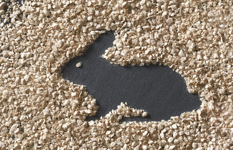 VITACEL® 的应用和剂量建议