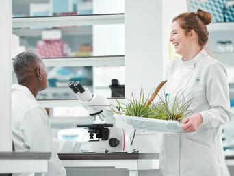 使用 JRS VIVAPUR 改善喷雾性能