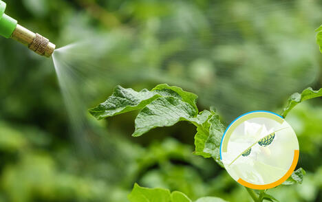 取代黄原胶,提高喷洒性。