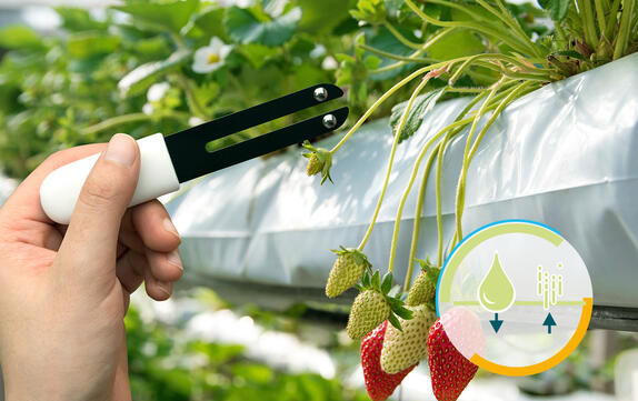 干燥、湿度管理