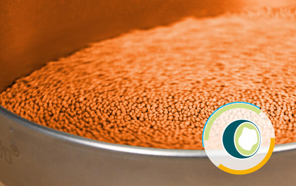 用于造粒和制粒的加工助剂