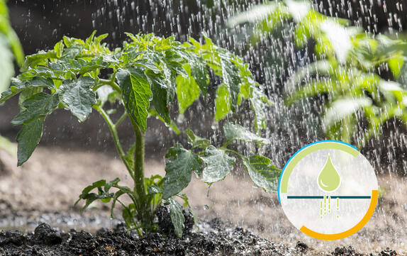 用于含泥炭基质的有机润湿剂