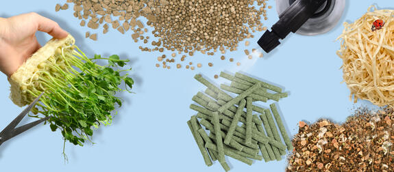 用于现代成功植物栽培的植物纤维