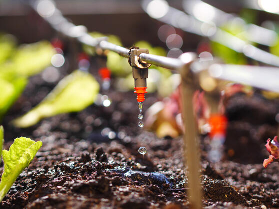 JRS 纤维溶液能更好地溶解粉状肥料。