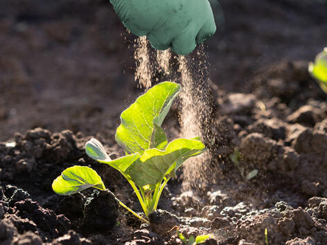 JRS ARBOCEL® 的完美配料能力