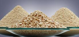 REHOFIX 玉米芯颗粒