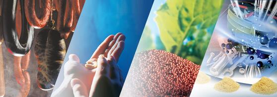 JRS ARBOCEL 理想的崩解或分解性能