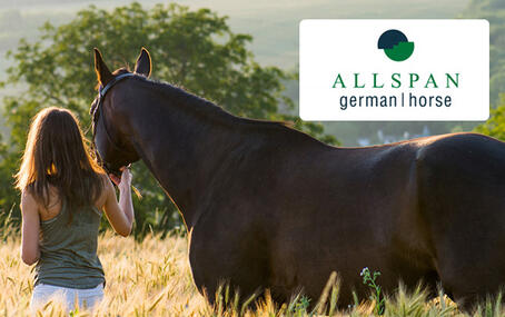 Allspan德国马